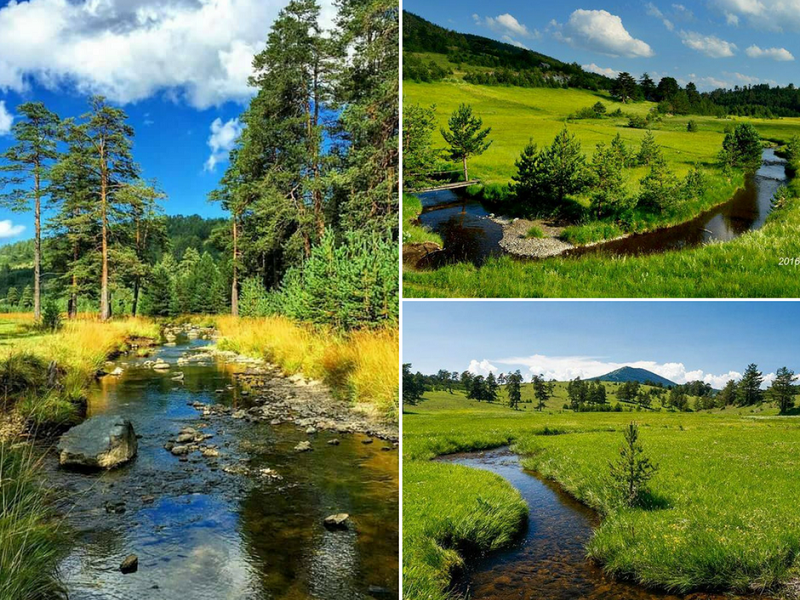 ovo je Zlatibor